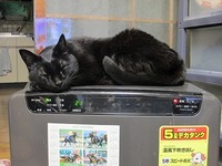 記録達成も・・・