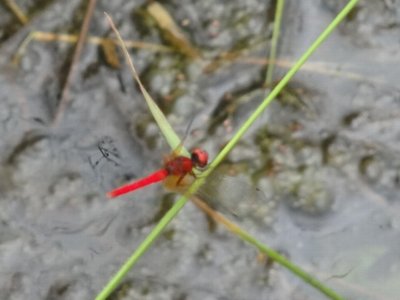 電池がなければ・・・・