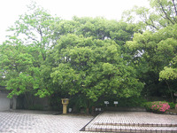 2012年07月11日