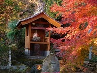 秋の武雄（１）