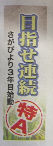 さがびより