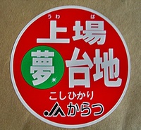 佐賀唐津産上場こしひかり