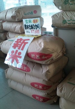 お買い得でした！
