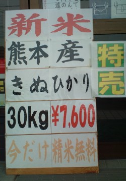 お買い得でした！