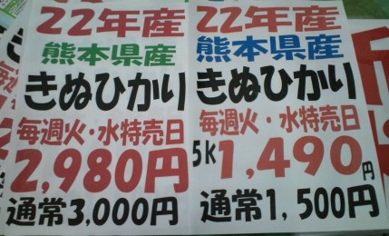 お買い得でした！