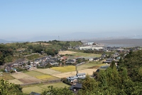 昨日天気が良かったので