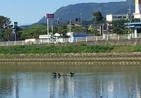 ふたさとの風景
