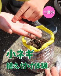 農業体験学習