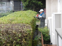 老人クラブ庭園清掃
