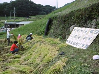 二里小５年生が稲刈り体験！