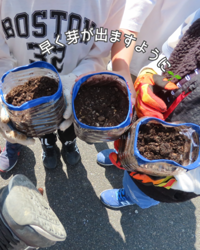 農業体験学習