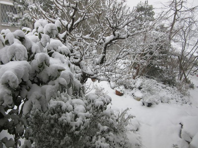 雪だるまをつくりました