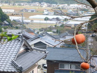 福母区悠ゆう窯の灯を観る会～報告～