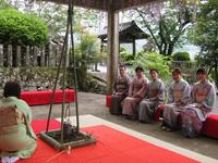 藤棚の下で野点