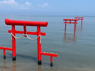 海中鳥居に鳥が居た！