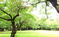 新学期。