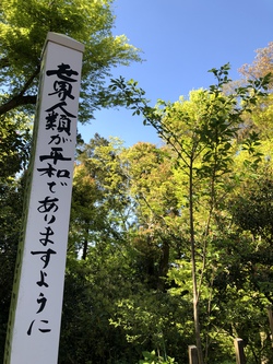 ほーー　　ほけきょ。