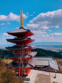 基山町【本福寺】昇るぞー。