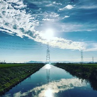 戸建住宅の楽しみ方♪ 2023/04/09 09:18:33