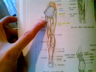 無邪気な笑いに。