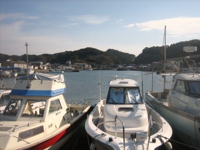 波多津の海岸