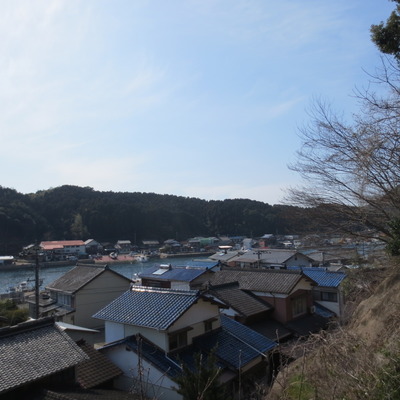 ヨシダの裏山からの風景