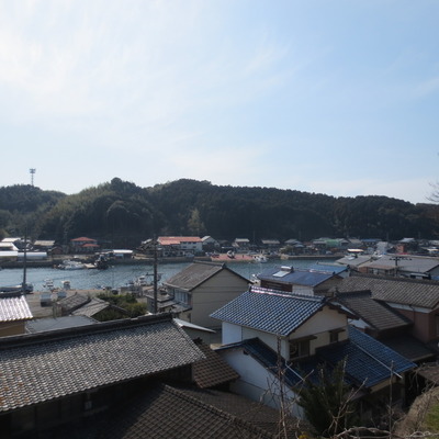 ヨシダの裏山からの風景