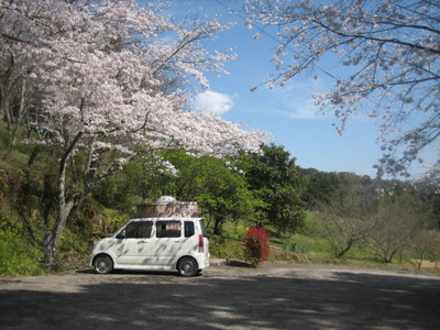 波多津　高尾山の桜　2011