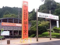 砂金を採りに