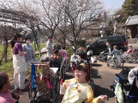 お花見