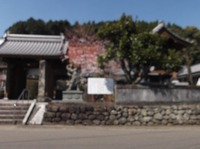春ですね
