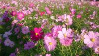 10月12日（日）練習日記