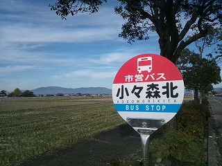 県道４９号線から見る佐賀平野