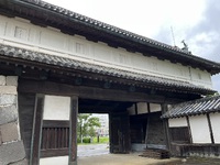 「１６０年前の“伝説”」 2022/11/14 21:47:37