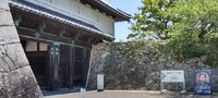 「小休止その６、致し方ない 佐賀に帰る」 2024/06/03 22:10:36