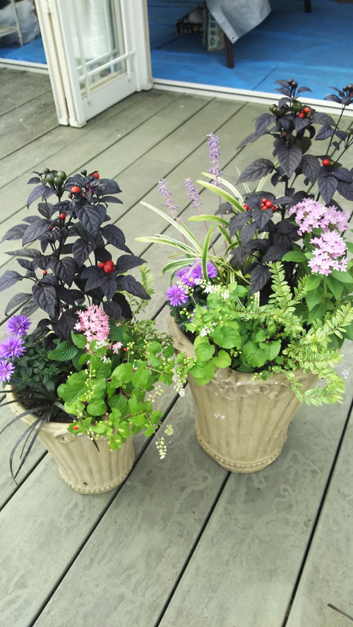 花は癒されますね！