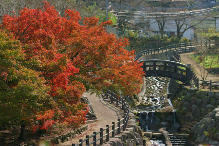 大川内山の紅葉