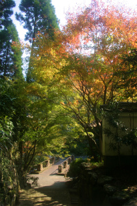 大川内山の紅葉。