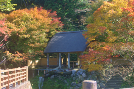 大川内山の紅葉見ごろ！
