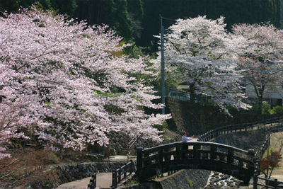 春の窯元市