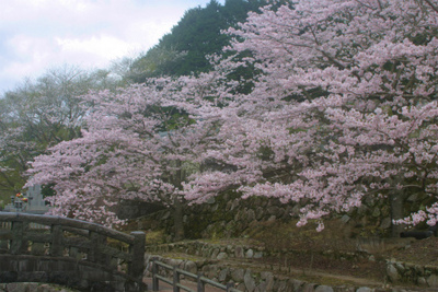 春の窯元市＠大川内山