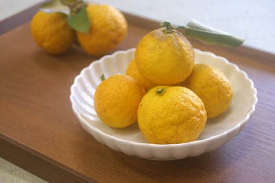 冬至