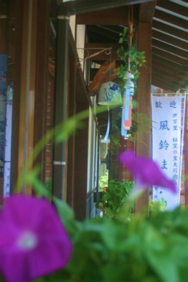 残暑お見舞い申し上げます。
