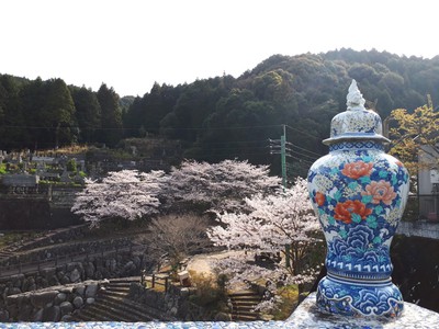 桜 満開＠大川内山