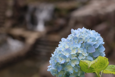 水無月