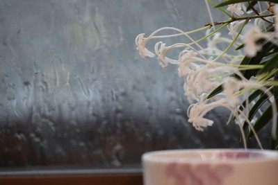 万能そば猪口！