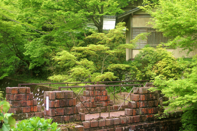新緑＠大川内山