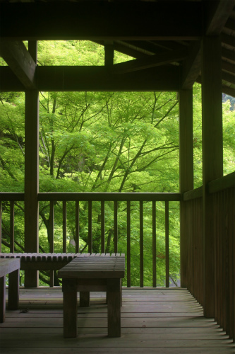 新緑＠大川内山