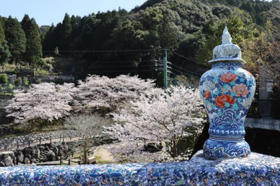 桜 満開＠大川内山