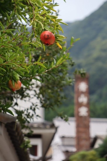 長月。